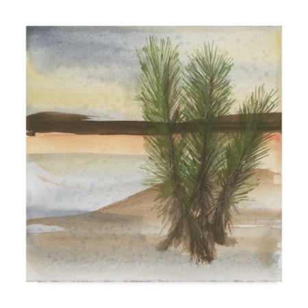 Chris Paschke 'Desert Yucca' Canvas Art,24x24